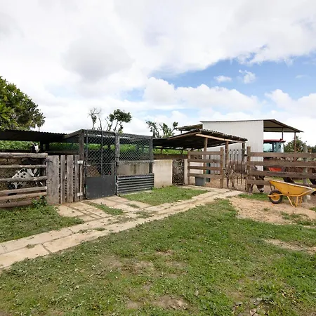 Casa Lavadeira - Vinhas De Nexe Tatil Evi