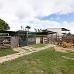 Casa Lavadeira - Vinhas De Nexe Ferienhaus